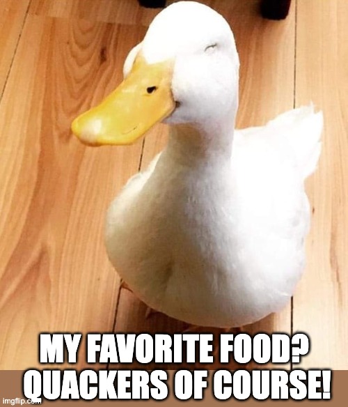 Some fowl language | MY FAVORITE FOOD?  QUACKERS OF COURSE! | image tagged in smile duck | made w/ Imgflip meme maker