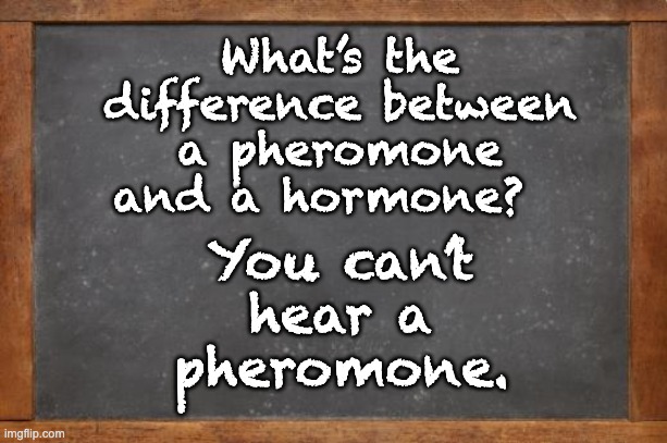 Know the difference | What’s the difference between a pheromone and a hormone? You can’t hear a pheromone. | image tagged in bad pun | made w/ Imgflip meme maker