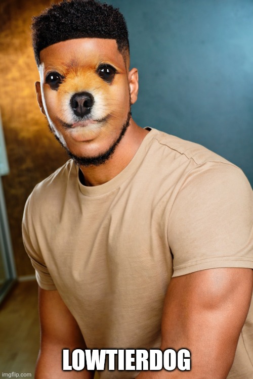 LOWTIERDOG | made w/ Imgflip meme maker