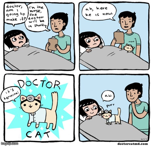 Doctor Cat Fixes Everything | image tagged in comics/cartoons,cat,doctor,hospital,funny | made w/ Imgflip meme maker