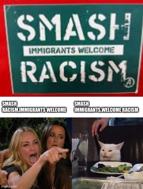 Can you read this even? | SMASH RACISM,IMMIGRANTS WELCOME; SMASH IMMIGRANTS,WELCOME RACISM | image tagged in memes,woman yelling at cat | made w/ Imgflip meme maker