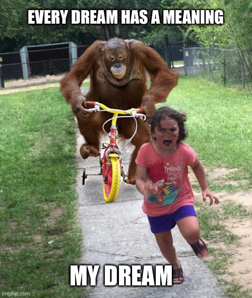 Orangutan chasing girl on a tricycle | EVERY DREAM HAS A MEANING; MY DREAM | image tagged in orangutan chasing girl on a tricycle | made w/ Imgflip meme maker