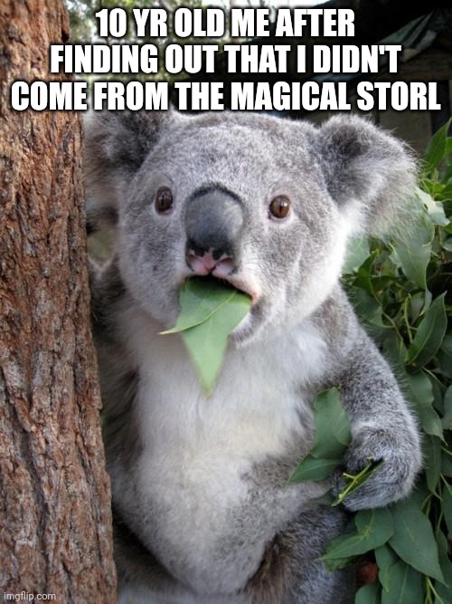 Surprised Koala Meme | 10 YR OLD ME AFTER FINDING OUT THAT I DIDN'T COME FROM THE MAGICAL STORL | image tagged in memes,surprised koala | made w/ Imgflip meme maker