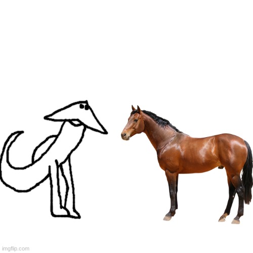 horsg | made w/ Imgflip meme maker