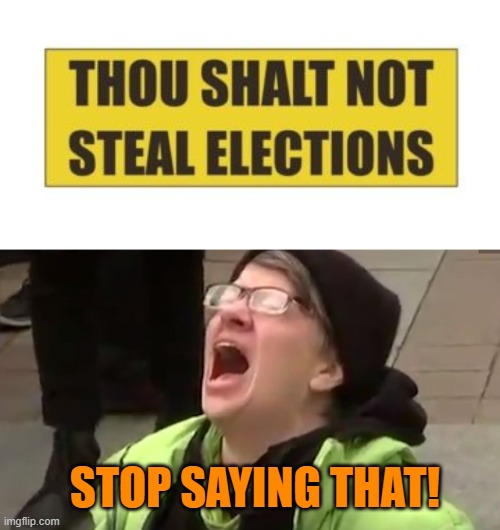 Leftists get upset when you say that. | STOP SAYING THAT! | image tagged in truth | made w/ Imgflip meme maker