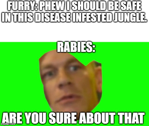 LOL | FURRY: PHEW I SHOULD BE SAFE IN THIS DISEASE INFESTED JUNGLE. RABIES:; ARE YOU SURE ABOUT THAT | image tagged in are you sure about that cena | made w/ Imgflip meme maker