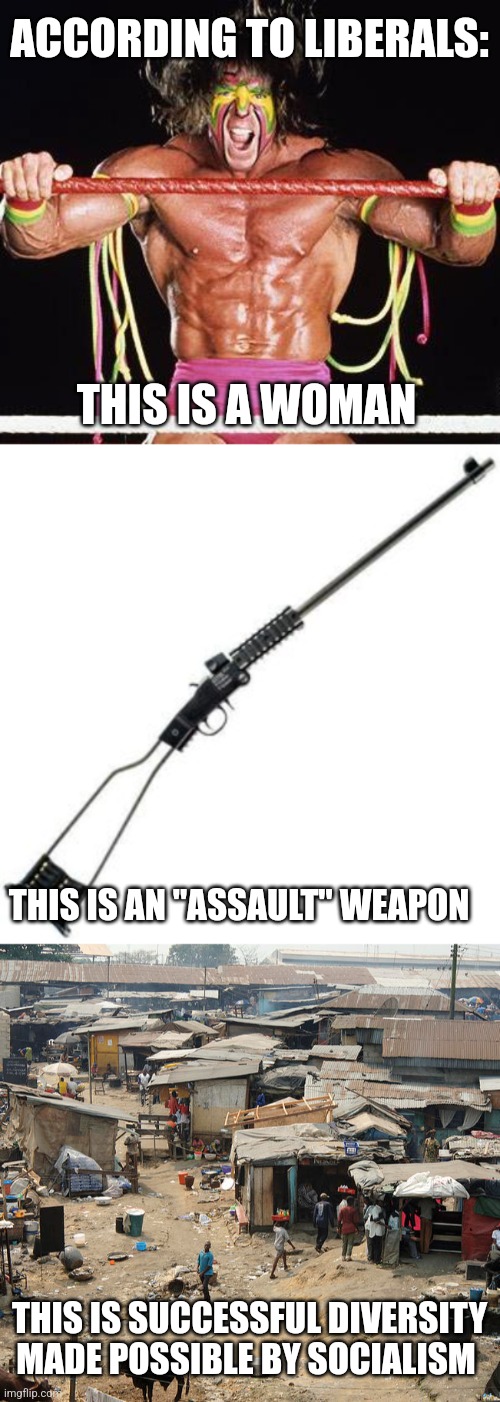 ACCORDING TO LIBERALS:; THIS IS A WOMAN; THIS IS AN "ASSAULT" WEAPON; THIS IS SUCCESSFUL DIVERSITY MADE POSSIBLE BY SOCIALISM | image tagged in funny memes | made w/ Imgflip meme maker