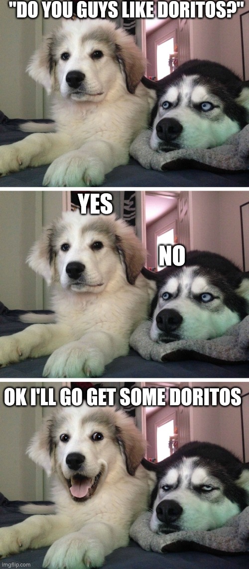 When you get completely ignored ?? | "DO YOU GUYS LIKE DORITOS?"; YES               

                 


                    NO; OK I'LL GO GET SOME DORITOS | image tagged in bad pun dogs,cute dog,funny,relatable,friends,doritos | made w/ Imgflip meme maker