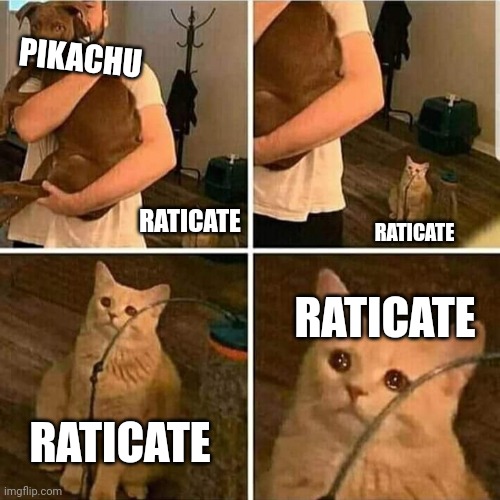 Sad Cat Holding Dog | PIKACHU; RATICATE; RATICATE; RATICATE; RATICATE | image tagged in sad cat holding dog | made w/ Imgflip meme maker