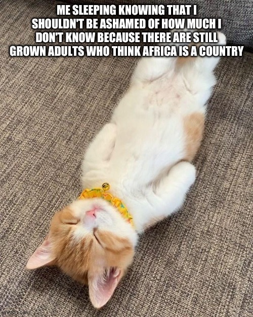 Sleepin Kitty | ME SLEEPING KNOWING THAT I SHOULDN'T BE ASHAMED OF HOW MUCH I DON'T KNOW BECAUSE THERE ARE STILL GROWN ADULTS WHO THINK AFRICA IS A COUNTRY | image tagged in sleepin kitty | made w/ Imgflip meme maker