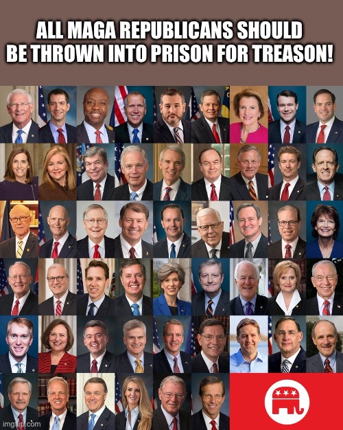 Republican Traitors | ALL MAGA REPUBLICANS SHOULD BE THROWN INTO PRISON FOR TREASON! | image tagged in republican traitors | made w/ Imgflip meme maker