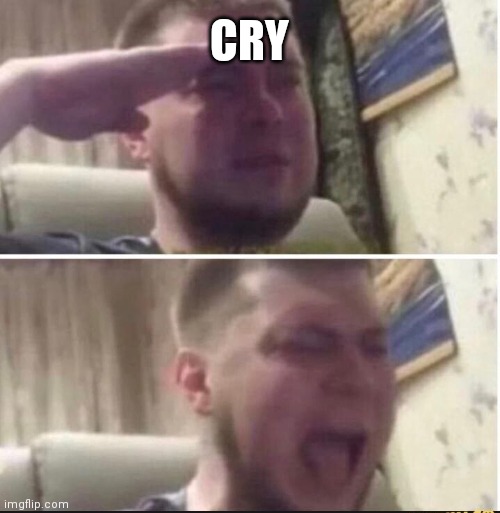 CRY | image tagged in crying salute | made w/ Imgflip meme maker