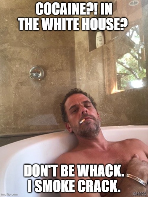 Cocaine in the White House?! | COCAINE?! IN THE WHITE HOUSE? DON'T BE WHACK. I SMOKE CRACK. SS2023 | image tagged in hunter biden,cocaine,white house | made w/ Imgflip meme maker