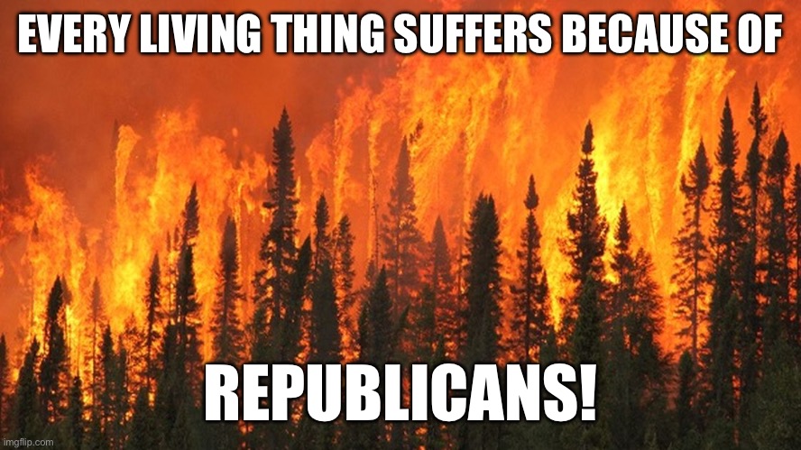 Forest fire | EVERY LIVING THING SUFFERS BECAUSE OF; REPUBLICANS! | image tagged in forest fire | made w/ Imgflip meme maker