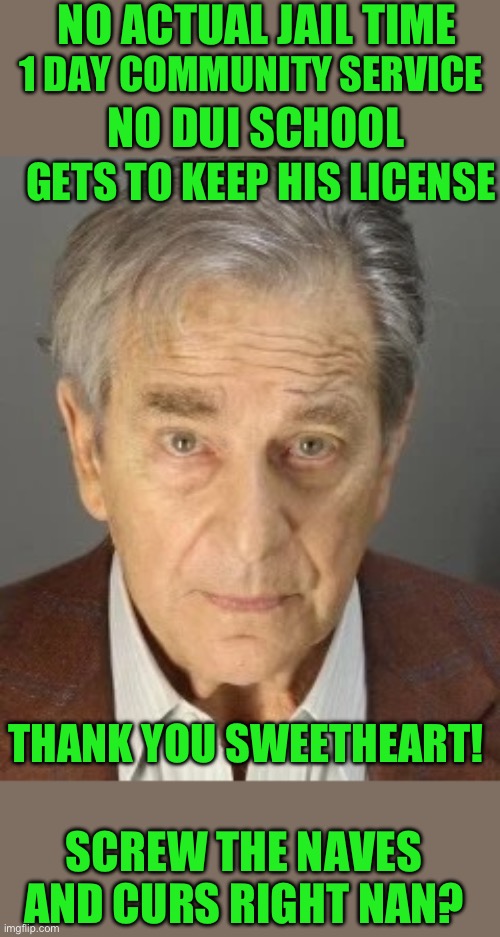 Yep no actual jail time or loss of licence | NO ACTUAL JAIL TIME; 1 DAY COMMUNITY SERVICE; NO DUI SCHOOL; GETS TO KEEP HIS LICENSE; THANK YOU SWEETHEART! SCREW THE NAVES AND CURS RIGHT NAN? | image tagged in paul pelosi | made w/ Imgflip meme maker