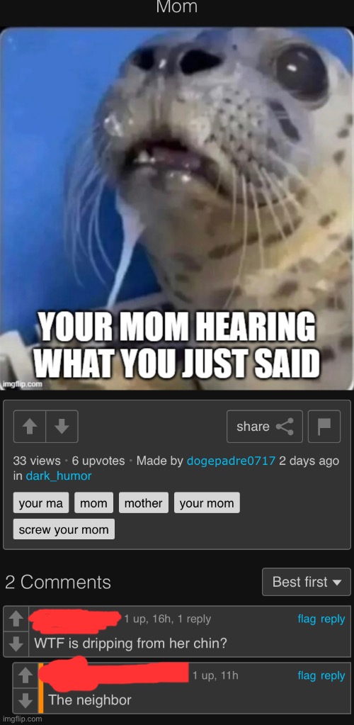 T H E  NEIGHBOR | made w/ Imgflip meme maker