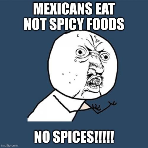 Y U No Meme | MEXICANS EAT NOT SPICY FOODS; NO SPICES!!!!! | image tagged in memes,y u no | made w/ Imgflip meme maker
