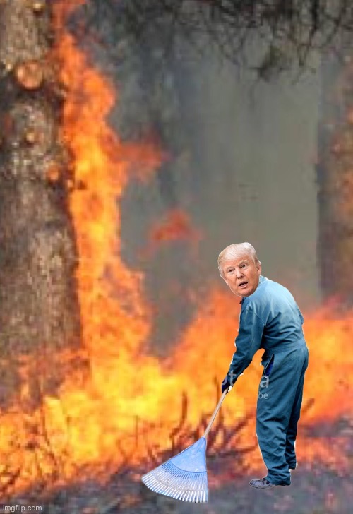 Raking Trump | image tagged in raking trump | made w/ Imgflip meme maker
