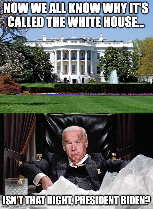 West Wing of White House found to contain white powder. You might have heard if it.... | NOW WE ALL KNOW WHY IT'S CALLED THE WHITE HOUSE... ISN'T THAT RIGHT, PRESIDENT BIDEN? | image tagged in white house,cocaine,joe biden,hypocrisy,liberal logic,epic fail | made w/ Imgflip meme maker
