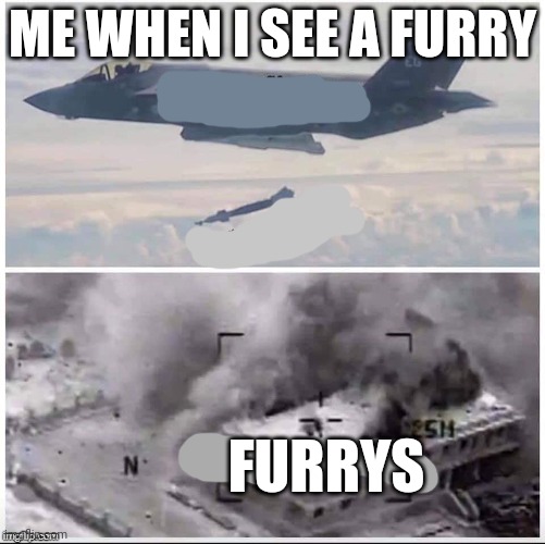 Airplane Bomber | ME WHEN I SEE A FURRY; FURRYS | image tagged in airplane bomber | made w/ Imgflip meme maker