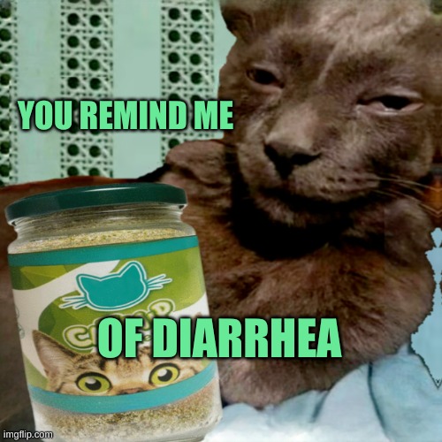 Wow | YOU REMIND ME; OF DIARRHEA | image tagged in ship osta 4 lyfe,that face you make when,reminder,cats,diarrhea,incontinence | made w/ Imgflip meme maker