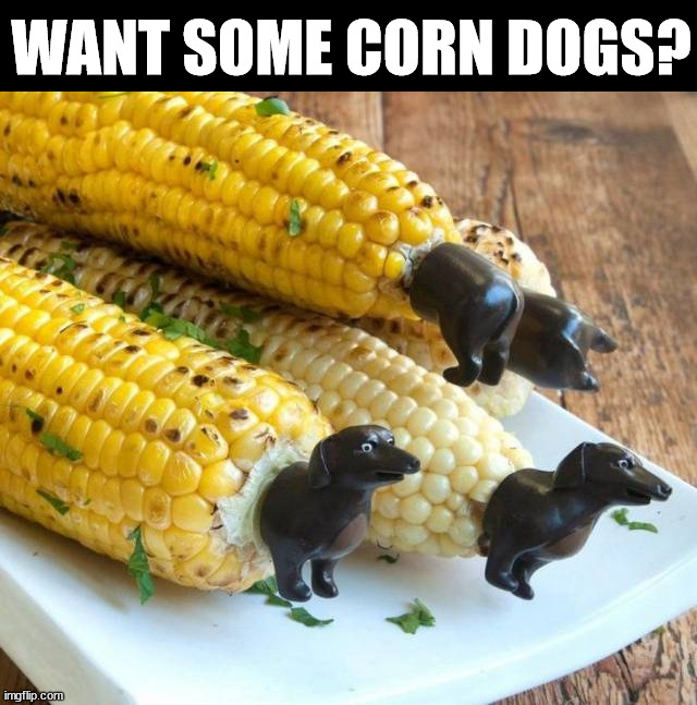 WANT SOME CORN DOGS? | image tagged in eyeroll | made w/ Imgflip meme maker