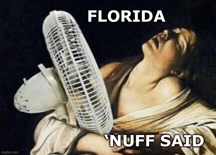 Classical art fan | FLORIDA; ‘NUFF SAID | image tagged in classical art fan | made w/ Imgflip meme maker