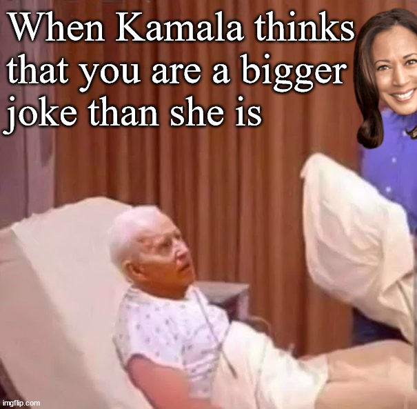 "Now Joe, I was suppose to be the dumber one ... you make me look smart." | When Kamala thinks that you are a bigger
joke than she is | image tagged in politics,joke | made w/ Imgflip meme maker