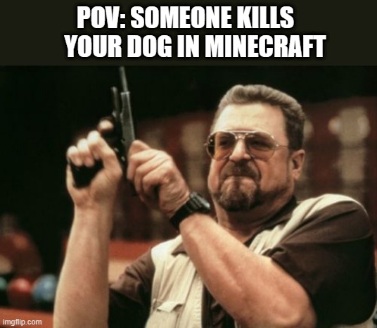 literally | POV: SOMEONE KILLS     YOUR DOG IN MINECRAFT | image tagged in memes,am i the only one around here | made w/ Imgflip meme maker