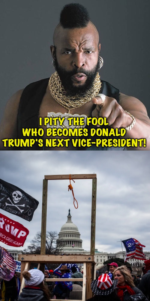 The moment Trump's VP takes office he/she'll be halfway up the gallows steps. | I PITY THE FOOL WHO BECOMES DONALD TRUMP'S NEXT VICE-PRESIDENT! | image tagged in memes,mr t pity the fool,capitol riot insurrection coup mike pence gallows noose hanging | made w/ Imgflip meme maker