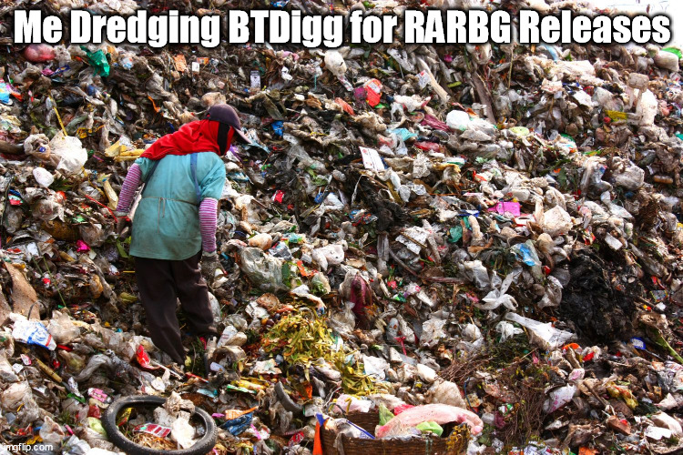 RIP RARBG | Me Dredging BTDigg for RARBG Releases | image tagged in movies,piracy | made w/ Imgflip meme maker