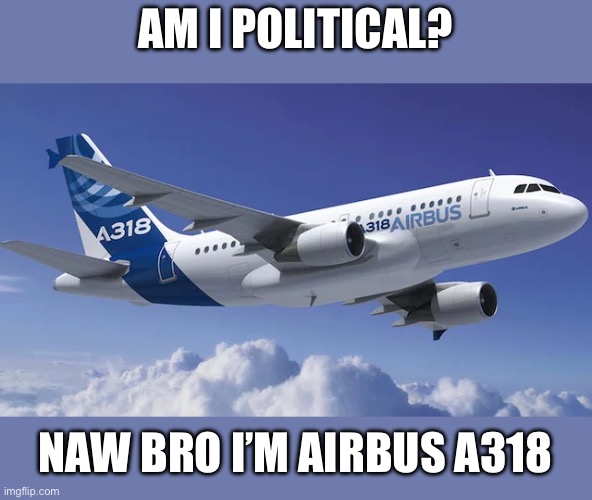 Baby bus | AM I POLITICAL? NAW BRO I’M AIRBUS A318 | image tagged in a318,airplane | made w/ Imgflip meme maker