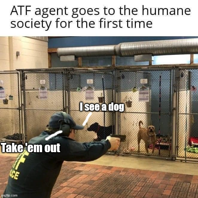 I see a dog; Take 'em out | image tagged in dark humor | made w/ Imgflip meme maker