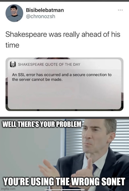 Well there’s your problem | WELL THERE’S YOUR PROBLEM; YOU’RE USING THE WRONG SONET | image tagged in the expert,problem | made w/ Imgflip meme maker