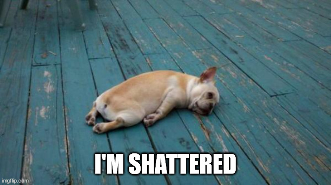 tired dog | I'M SHATTERED | image tagged in tired dog | made w/ Imgflip meme maker