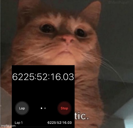 Pathetic Cat | image tagged in pathetic cat | made w/ Imgflip meme maker