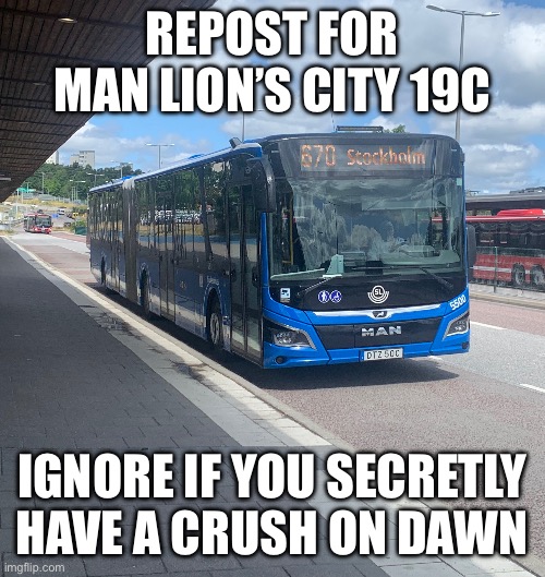 REPOST FOR MAN LION’S CITY 19C; IGNORE IF YOU SECRETLY HAVE A CRUSH ON DAWN | made w/ Imgflip meme maker