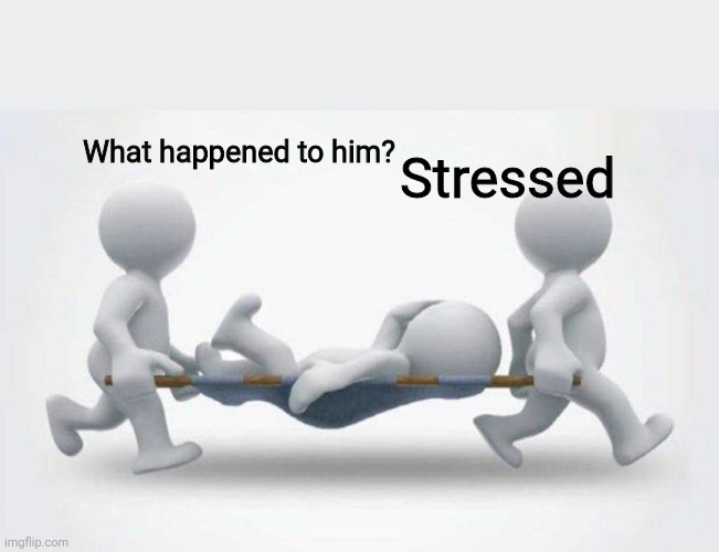 What happened to him? | What happened to him? Stressed | image tagged in what happened to him | made w/ Imgflip meme maker