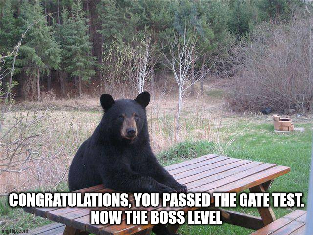 Bear at Picnic Table | CONGRATULATIONS, YOU PASSED THE GATE TEST.
NOW THE BOSS LEVEL | image tagged in bear at picnic table | made w/ Imgflip meme maker