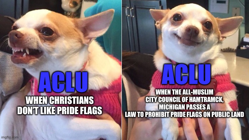 ACLU quiet for 3 weeks | ACLU; ACLU; WHEN THE ALL-MUSLIM CITY COUNCIL OF HAMTRAMCK, MICHIGAN PASSES A
LAW TO PROHIBIT PRIDE FLAGS ON PUBLIC LAND; WHEN CHRISTIANS DON’T LIKE PRIDE FLAGS | image tagged in lily lu,pride month,hypocrisy,liberal hypocrisy | made w/ Imgflip meme maker