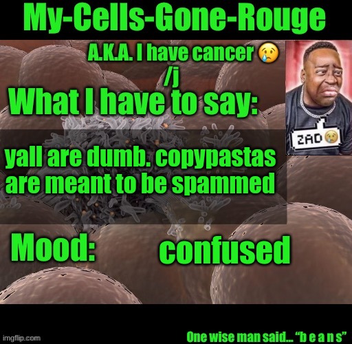 My-Cells-Gone-Rouge announcement | yall are dumb. copypastas are meant to be spammed; confused | image tagged in my-cells-gone-rouge announcement | made w/ Imgflip meme maker