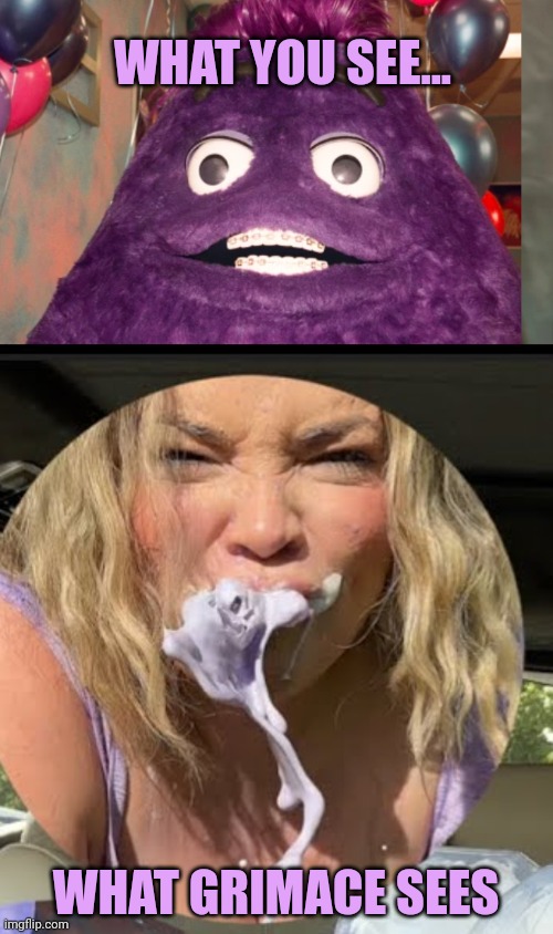 Grimace Shake Lore | WHAT YOU SEE... WHAT GRIMACE SEES | image tagged in grimace,shake,lore | made w/ Imgflip meme maker