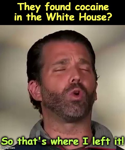 Like father, like son. | They found cocaine in the White House? So that's where I left it! | image tagged in donald trump jr don jr cocaine,trump family values,cocaine,donald trump jr | made w/ Imgflip meme maker