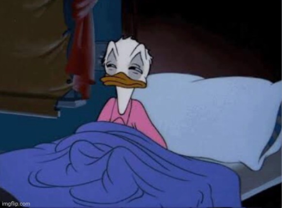 donald duck waking up | image tagged in donald duck waking up | made w/ Imgflip meme maker