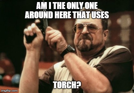 Am I The Only One Around Here Meme | AM I THE ONLY ONE AROUND HERE THAT USES  TORCH? | image tagged in memes,am i the only one around here | made w/ Imgflip meme maker