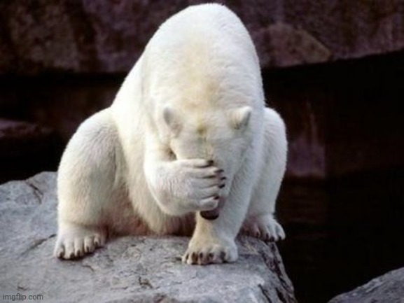 Bear face palm  | image tagged in bear face palm | made w/ Imgflip meme maker