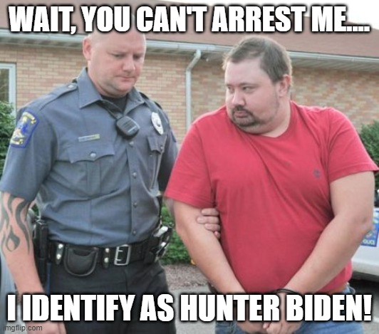 man get arrested | WAIT, YOU CAN'T ARREST ME.... I IDENTIFY AS HUNTER BIDEN! | image tagged in man get arrested | made w/ Imgflip meme maker