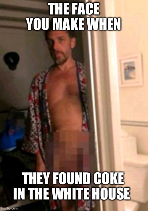 THE FACE YOU MAKE WHEN; THEY FOUND COKE IN THE WHITE HOUSE | image tagged in hunter biden,president_joe_biden,crackhead,white house | made w/ Imgflip meme maker