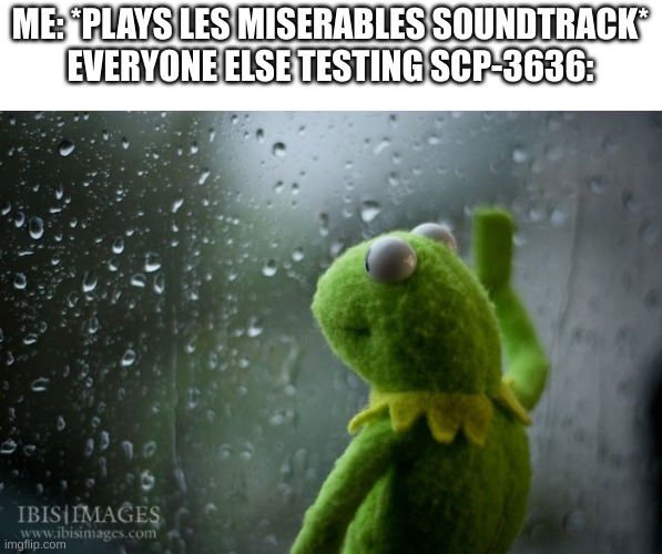 kermit window | ME: *PLAYS LES MISERABLES SOUNDTRACK*
EVERYONE ELSE TESTING SCP-3636: | image tagged in kermit window | made w/ Imgflip meme maker