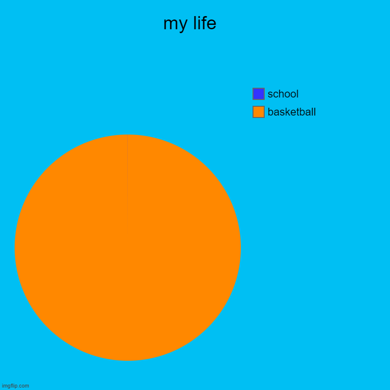 MY LIFE | my life  | basketball, school | image tagged in charts,pie charts | made w/ Imgflip chart maker